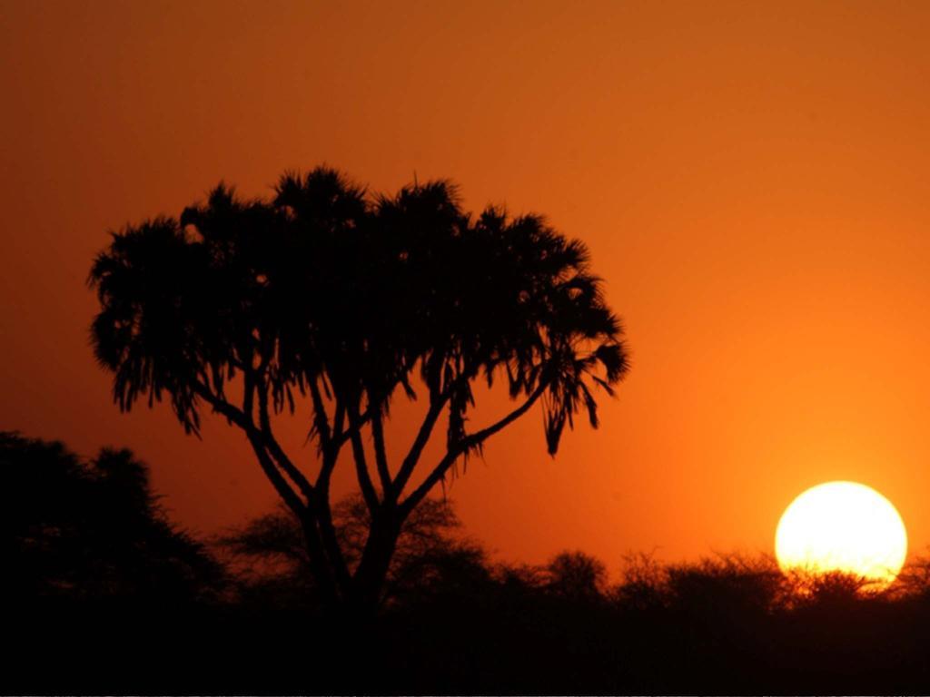 Sarova Shaba Game Lodge Archers Post Exteriör bild